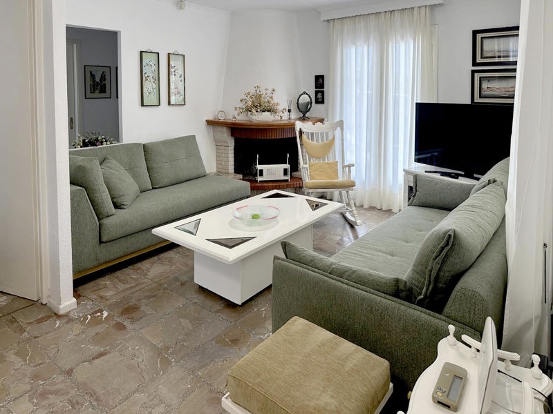 Living Room - Fireplace